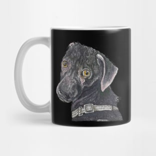 North, the fashion model dog Mug